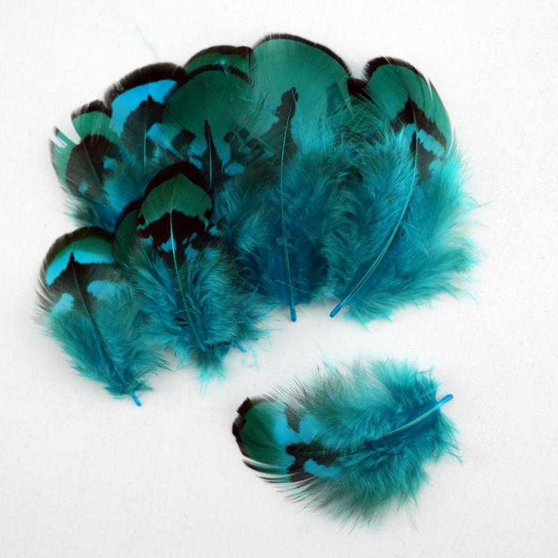 Bulu Burung Pheasant Alami War - Wedding Supply Bulk ulasan dan harga